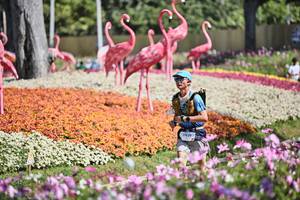 BIB: 
                            <button type="button" onclick="openModal(27793233)" class="btn btn-primary btn-sm float-right btn-popup" data-toggle="modal" data-target=".modal-high-quality">
                        <i class="fas fa-shopping-cart"></i> Add to Cart
                    </button>
                                            <button type="button" onclick="isThisMe(27793233, true)" class="btn btn-success btn-sm float-right btn-popup btn-isme hidden" data-toggle="tooltip" data-placement="bottom" title="นี่คือรูปของคุณใช่ไหม คลิกที่นี่เพื่อเอาเข้าอัลบั้ม">
                        <i class="fas fa-plus"></i> Add to album
                    </button>
                    <button type="button" onclick="isThisMe(27793233, false)" class="btn btn-warning btn-sm float-right btn-popup btn-isnotme hidden">
                        <i class="fas fa-ban"></i> Remove from album
                    </button>